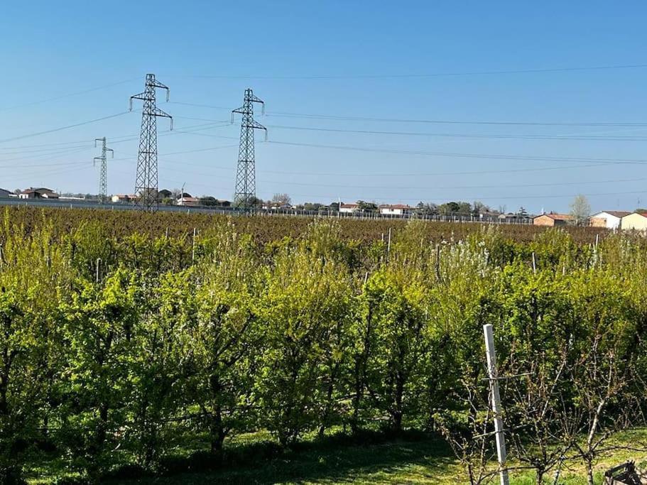Sotto La Luna Casa In Campagna Castel Bolognese Bagian luar foto