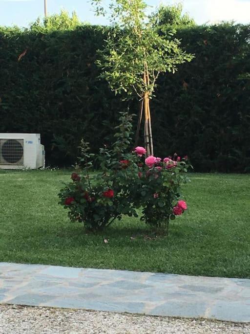Sotto La Luna Casa In Campagna Castel Bolognese Bagian luar foto