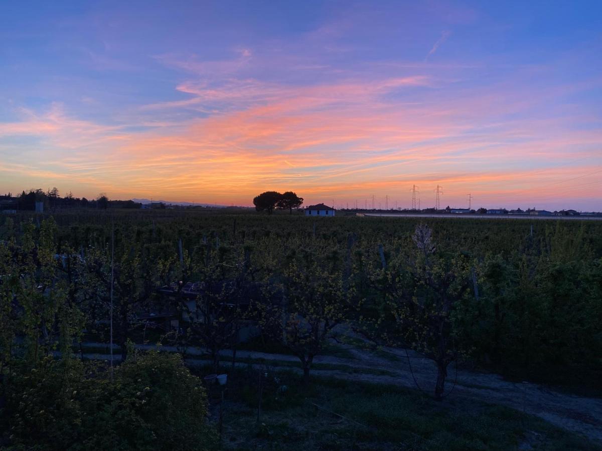 Sotto La Luna Casa In Campagna Castel Bolognese Bagian luar foto
